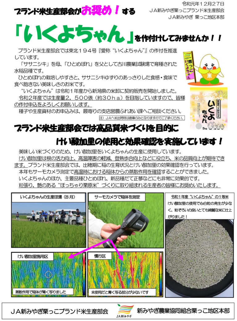 ペコちゃん様専用 精米済み 1等米【令和２年産】30kg（5kg×6） 日本